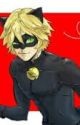 Chat Noir Boyfriend Scenarios by Butterflylover554