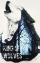 King Of Wolves (RE-WRITING!) by 4EverFightingTheDark