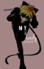 My Lady. (Chat Noir x Reader)