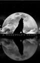  » a werewolf's heart  »  {wolfstar} by sweaterpawmukeaf