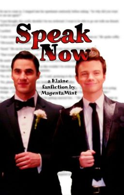 Speak Now (Klaine/Glee) cover