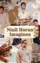 Niall Horan Imagines by chrissy_horan