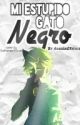 Mi Estúpido Gato Negro [Chat Noir/Adrien Y Tu] #ChangerMLBFandom by Adrien03Noir