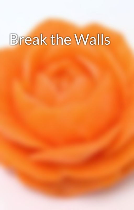 Break the Walls by SoraMJigen