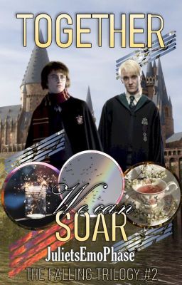 Together, We Can Soar (A Drarry FanFiction/"Falling" 2 of 3) cover