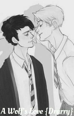 A Wolf's Love {Drarry} cover