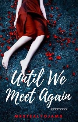 Until We Meet Again cover