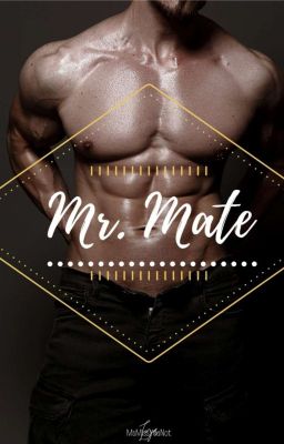 Mr.Mate cover