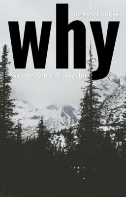 Why? • Gaster!Sans x Human!Reader cover