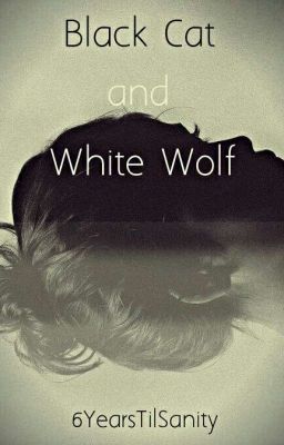 Black Cat and White Wolf [A Chat Noir X Reader Fanfic] cover