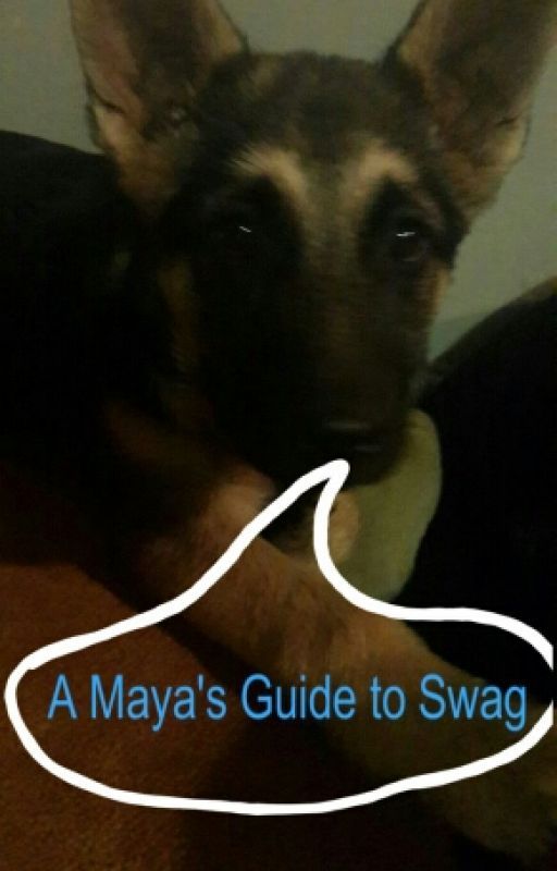 A Maya's guide to Swag by CookieMayaLovesCandy