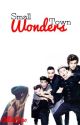 Small Town Wonders // o.d. by 9secondsofbands