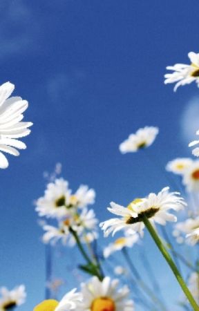 Gänseblümchen auf der anderen Seite by kissenschlacht14