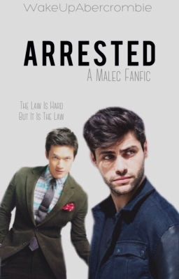 Arrested (Book 1 of the Arrested Trilogy) {malec au} cover