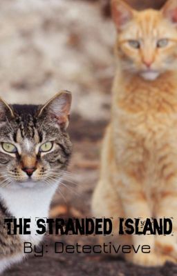 Warriors: The Stranded Island | ✔ cover