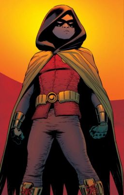 Damian Wayne x Reader- Rescued  cover