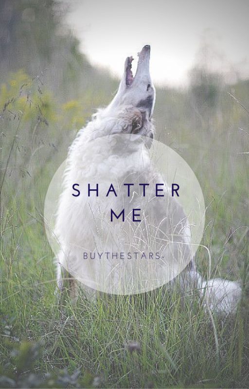 Shatter Me by buythestars-