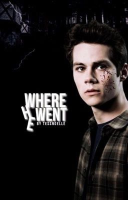 WHERE HE WENT [A Teen Wolf Fanfiction] cover