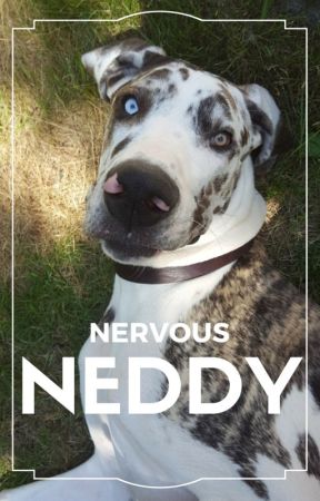 Nervous Neddy by molly