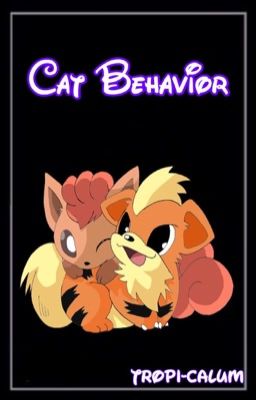 Cat Behavior (Neko!Levi x Reader) cover