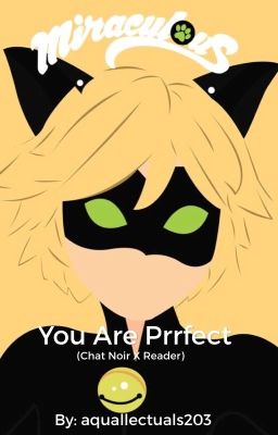 You are Prrfect (Chat Noir/Adrien x reader) [EDITING] cover