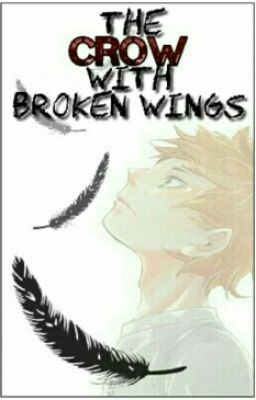 The Crow With Broken Wings cover