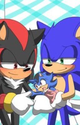 2016 Secret love ( Sonadow love story ) Completed cover