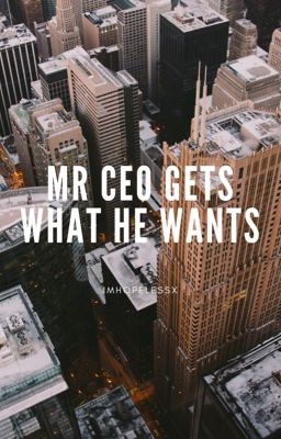 Mr. CEO gets what he wants cover