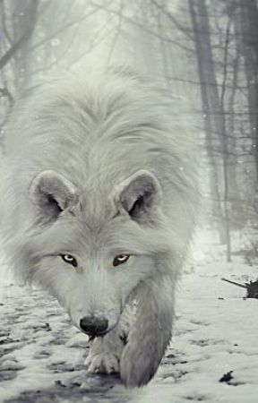 the white wolf bxb  by loveboyxboy1