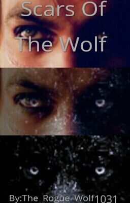 Scars Of The Wolf  cover