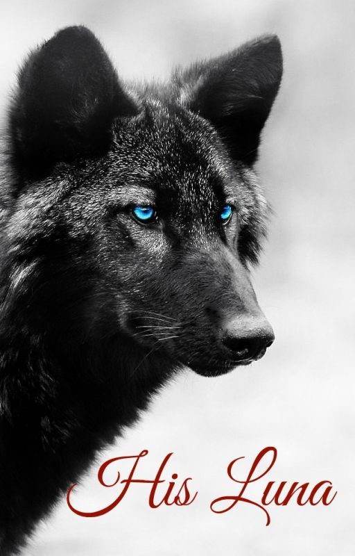 His Luna~ Teen Wolf (Book One)  by FanOfLife2457