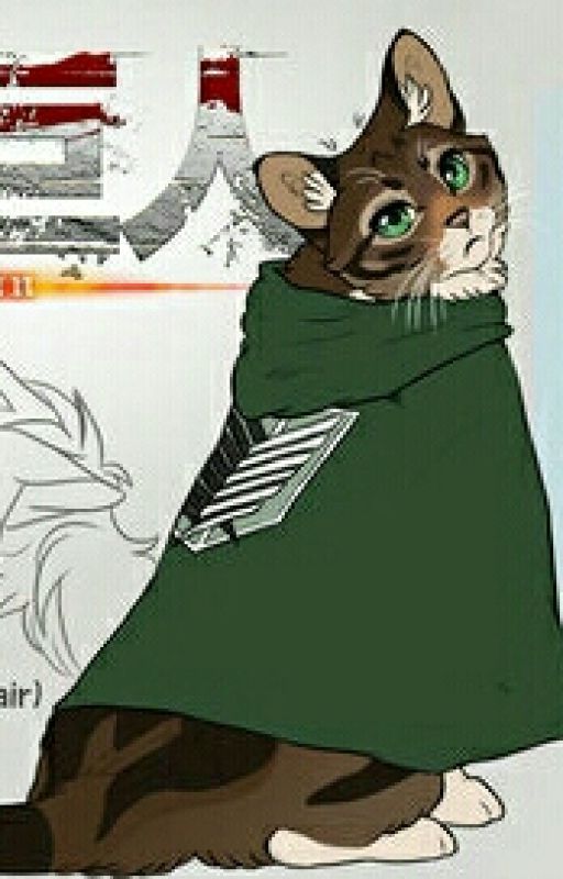 Ask Cat! Eren by Cat_Levi