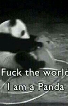 I PANDA DOMINANO by Welovepanda