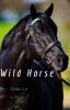 Wild Horse