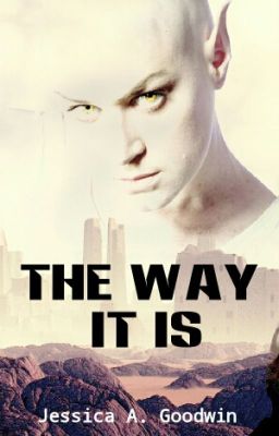 The Way It Is cover