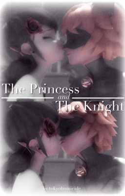 The Princess And The Knight [COMPLETE] ✔ cover