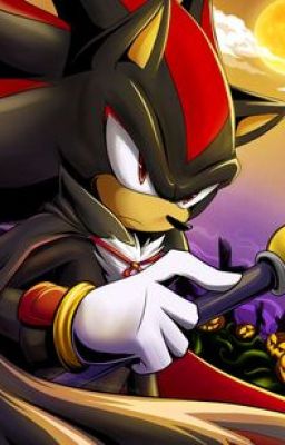 Sonadow:The Shapeshifter cover