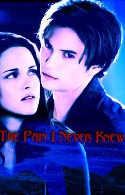 The pain I never knew  cover