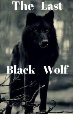 The Last Black Wolf cover