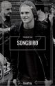 Songbird (Tradley AU) by TiredTris