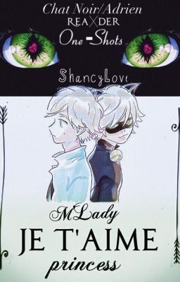 Chat Noir/Adrien X Reader One-shots cover