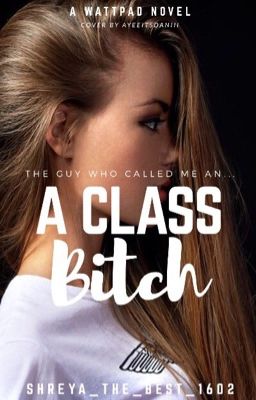 The Guy Who Called Me An A-class Bitch  cover