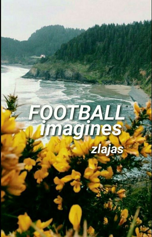 FOOTBALL↠imagines by zlajas