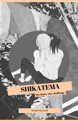 [ShikaTema] The Thirty Day Challenge cover