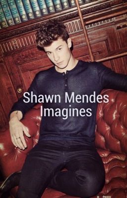 Shawn Mendes Imagines  cover