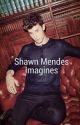 Shawn Mendes Imagines  by hedgehog_mendes