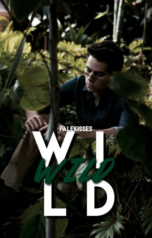 Wild ▹ Dylan O'Brien [closed] by classjcals