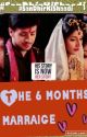 The 6 months marraige by saddahaq2003