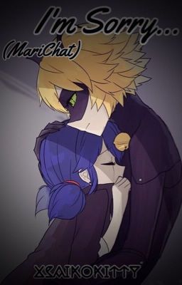 I'm Sorry... (Marichat Fanfic) cover