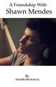 A friendship with Shawn Mendes by mendesfiction123